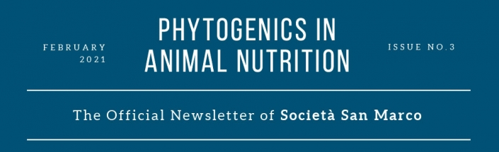 Newsletter-February-03