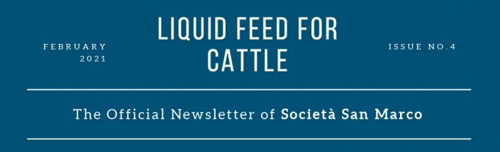 Newsletter-February-04