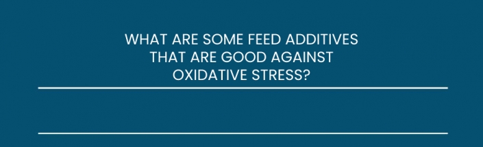 what are some feed additives